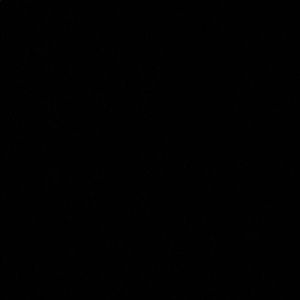 Meet your Posher, Bunmi